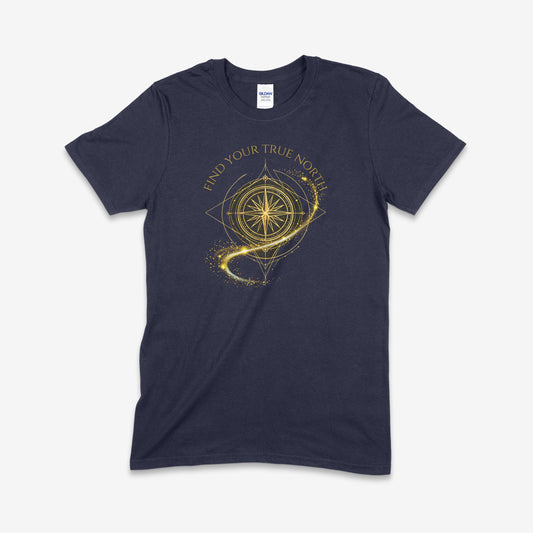 Find your true north
